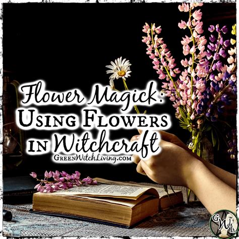 Exploring the Symbolism of Flowers in Floral Witchcraft